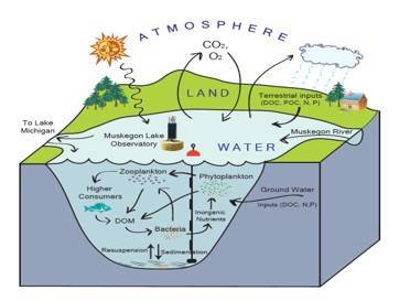 A complex illustrated diagram showing the movement of carbon and oxygen in the land, air, and water around Muskegon Lake.